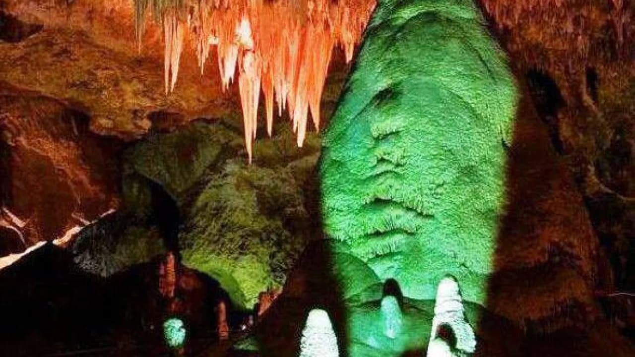 Изображение услуги12