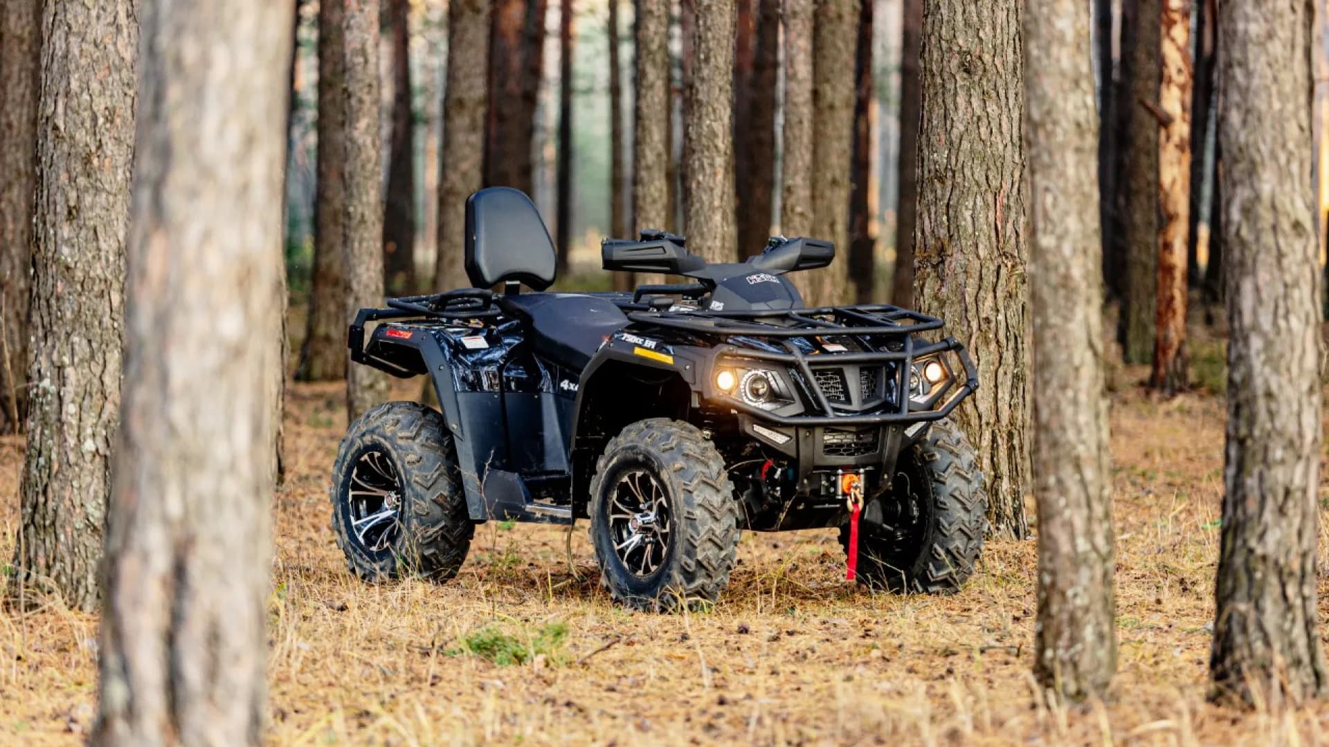 Изображение услуги5