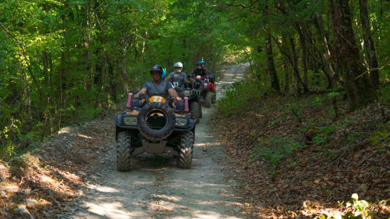 Изображение услуги2