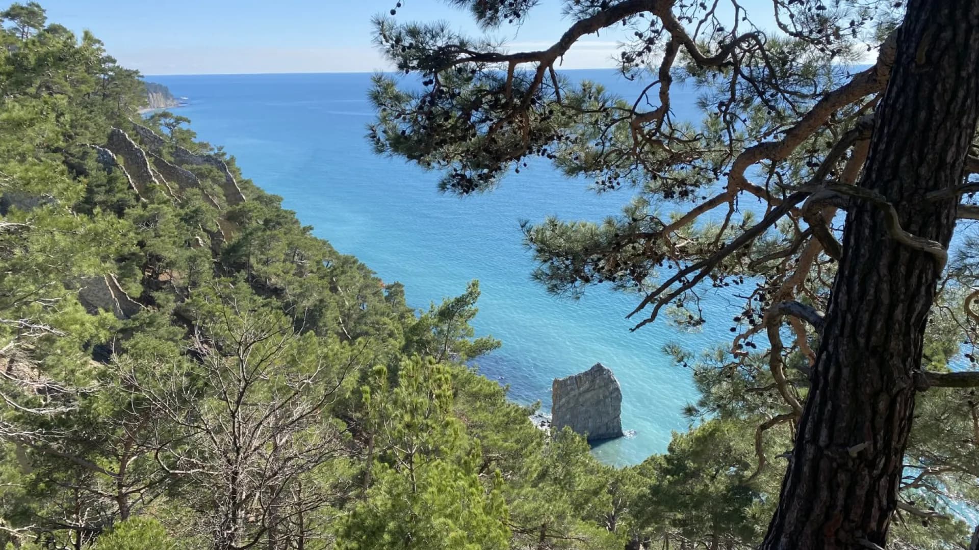 Изображение услуги0