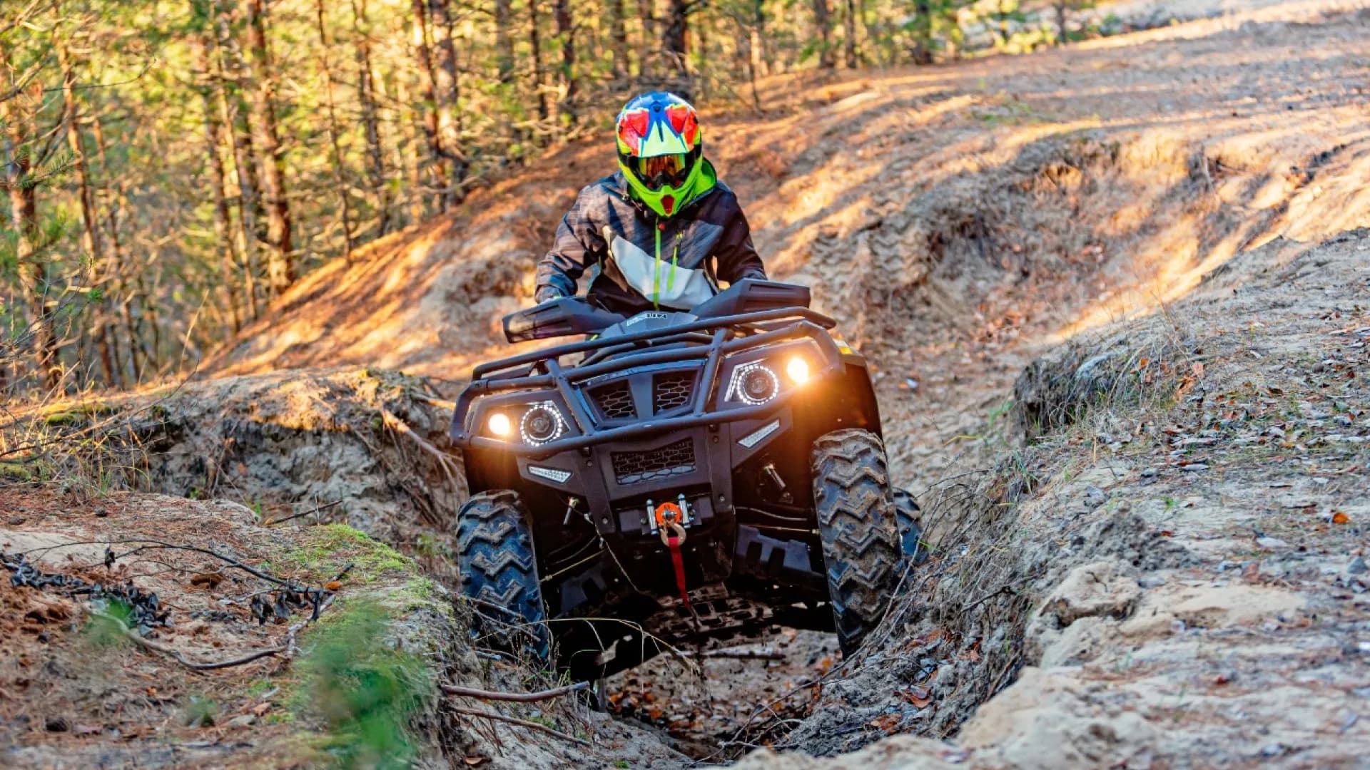 Изображение услуги1