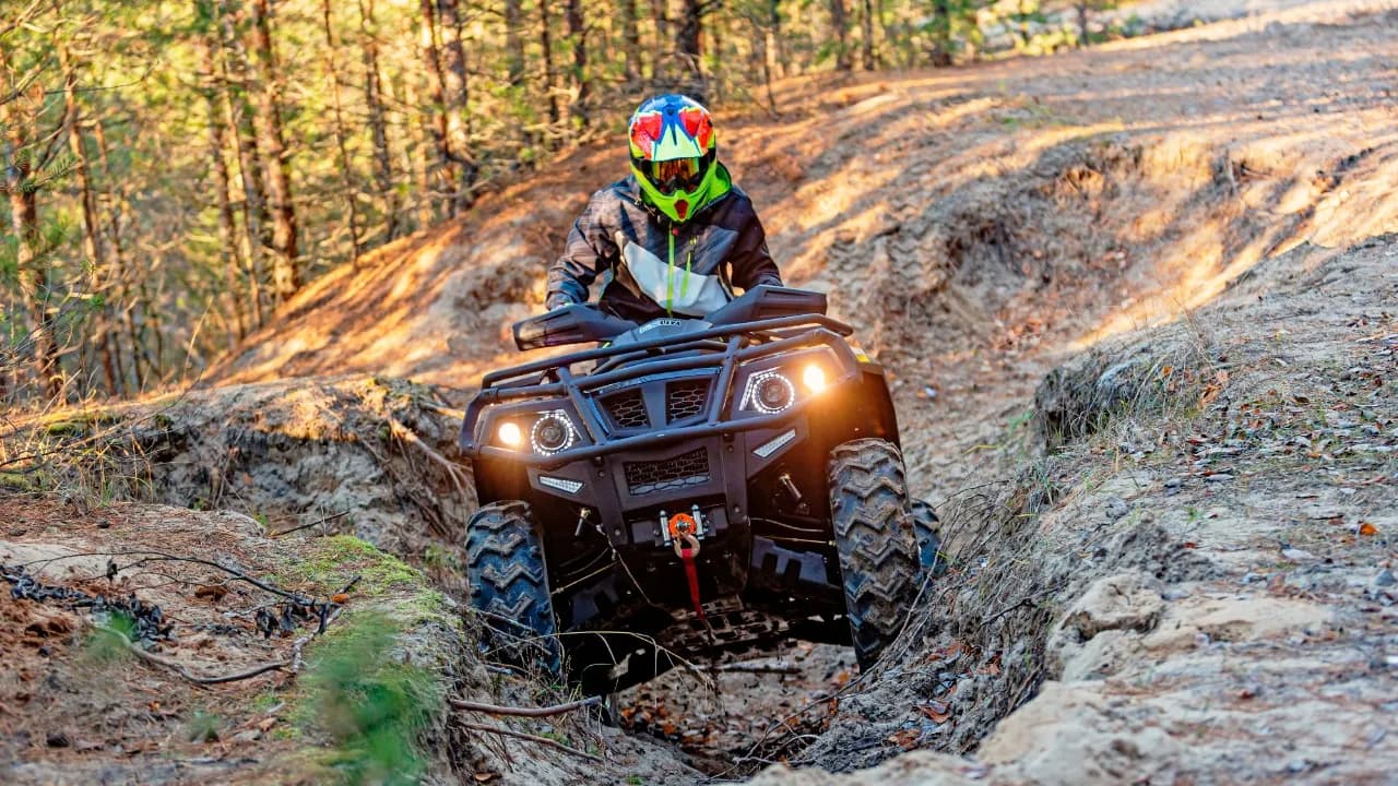 Изображение услуги1