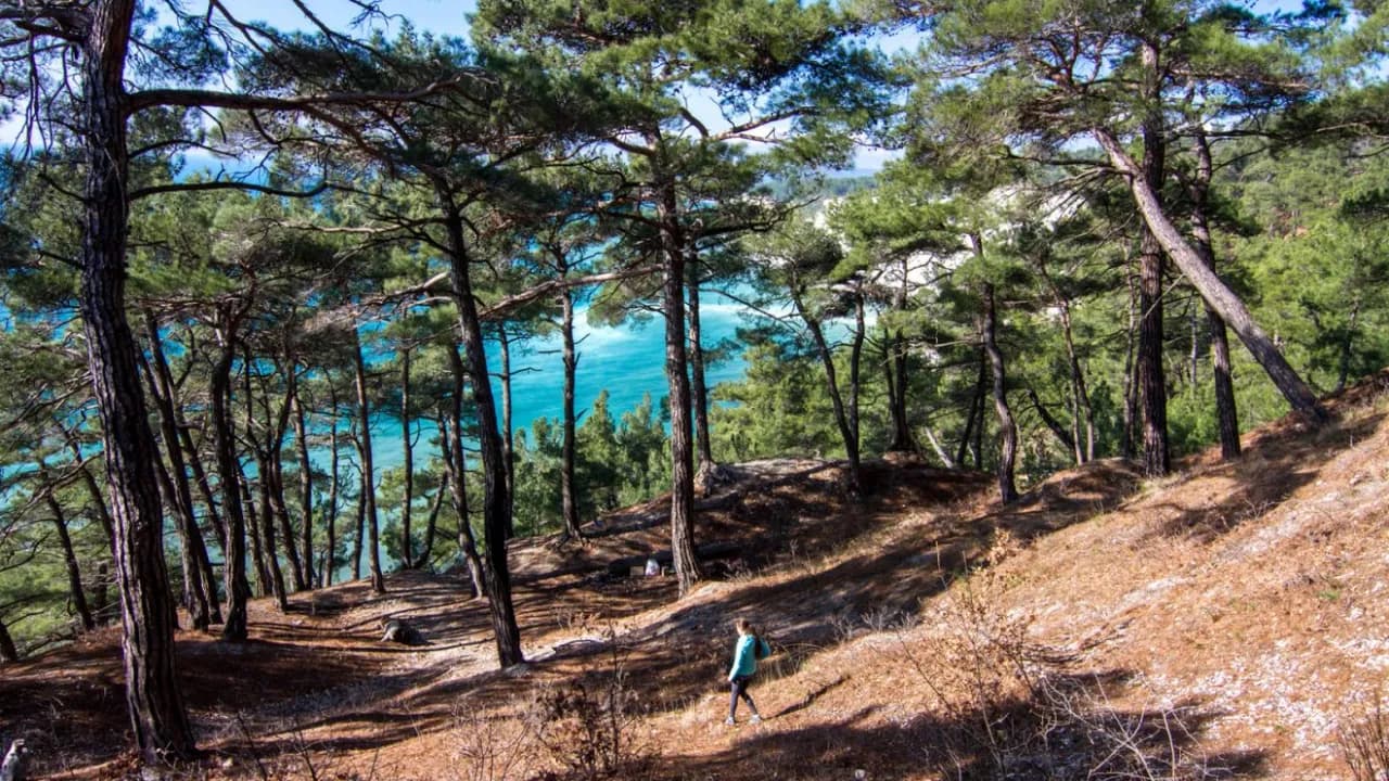 Изображение услуги2