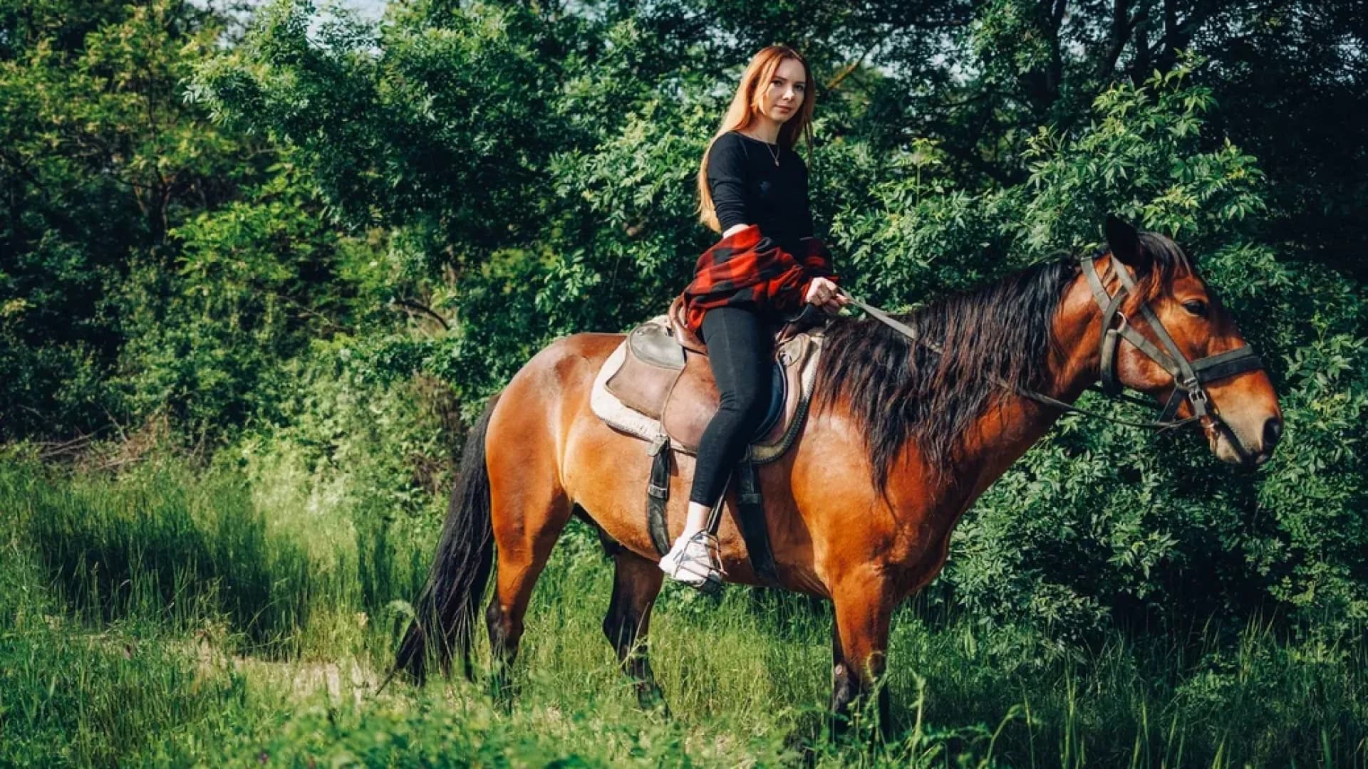 Изображение услуги3