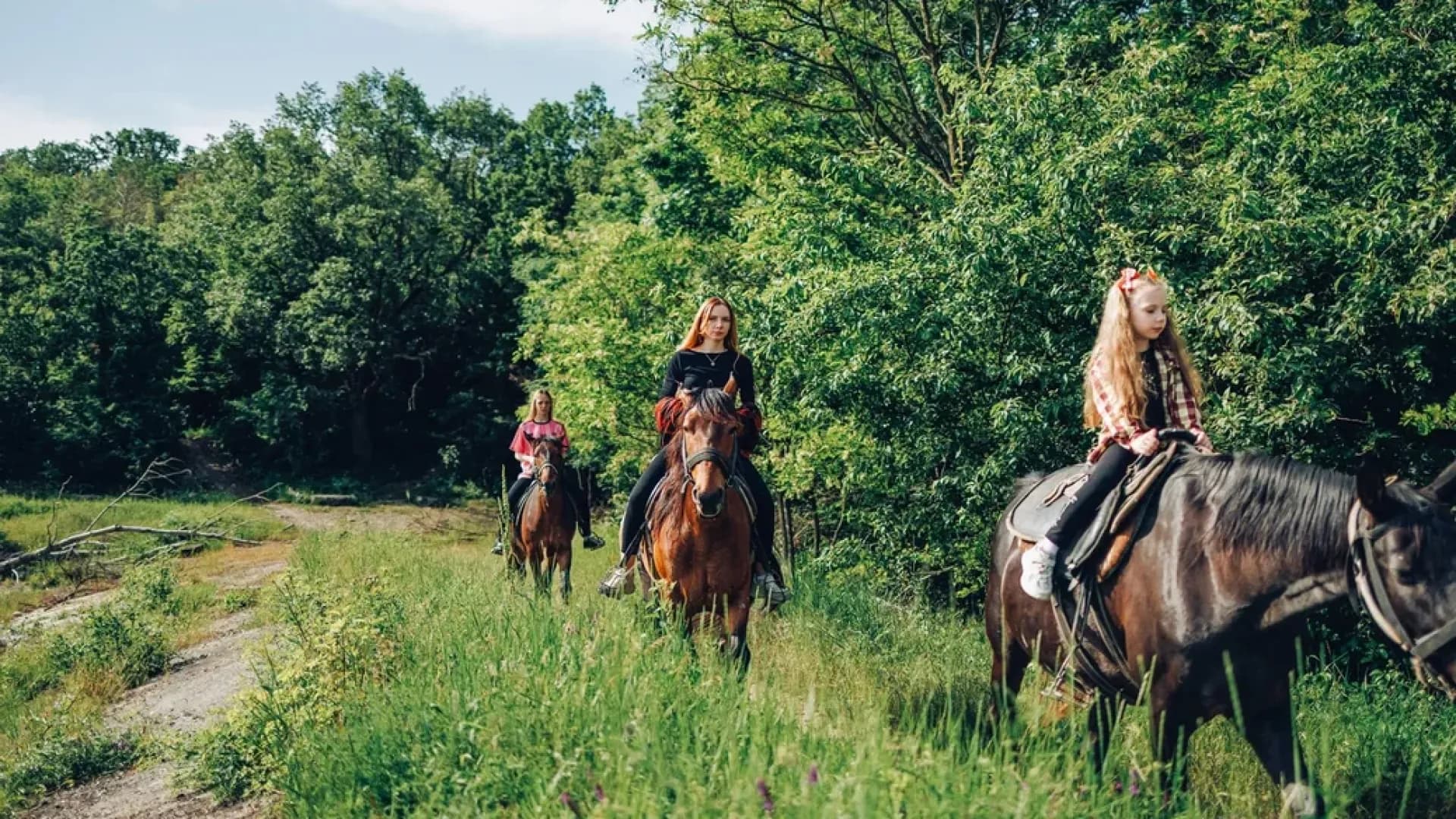 Изображение услуги4