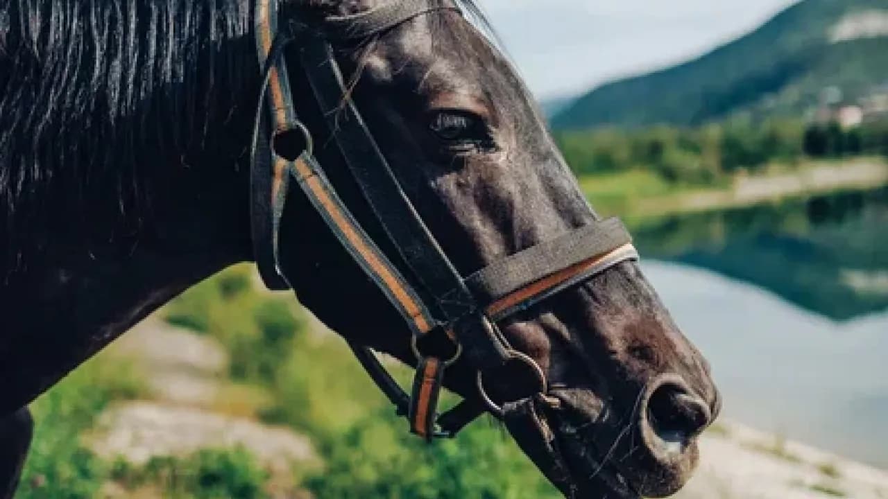 Изображение услуги5