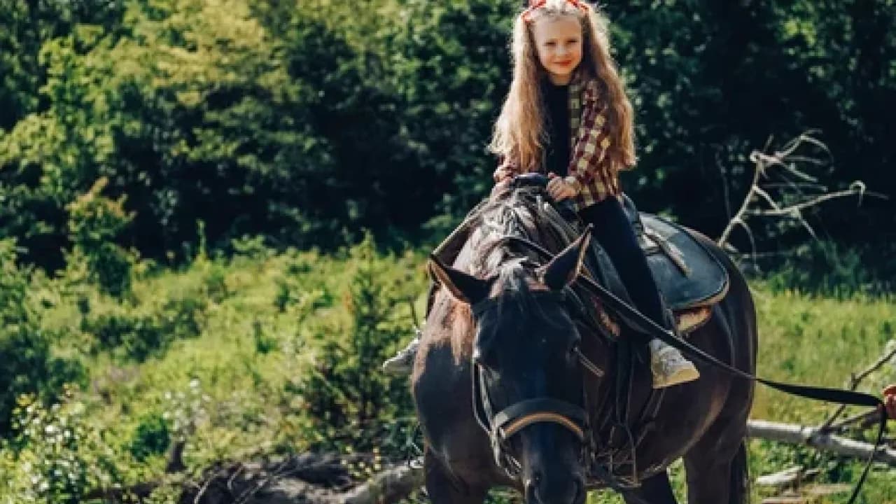 Изображение услуги6