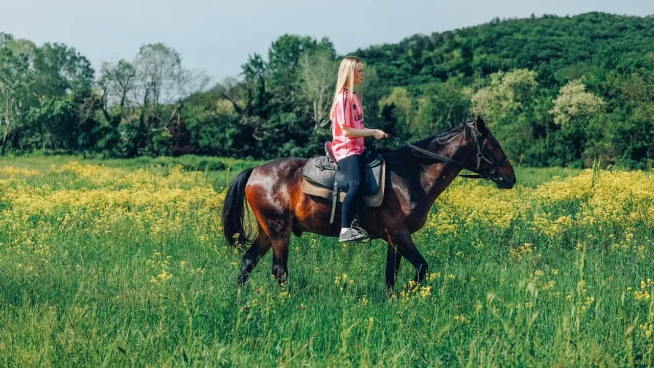 Изображение услуги9