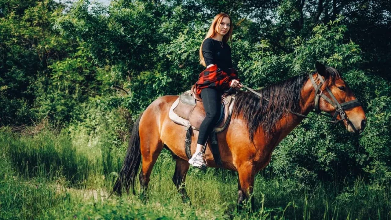 Изображение услуги2