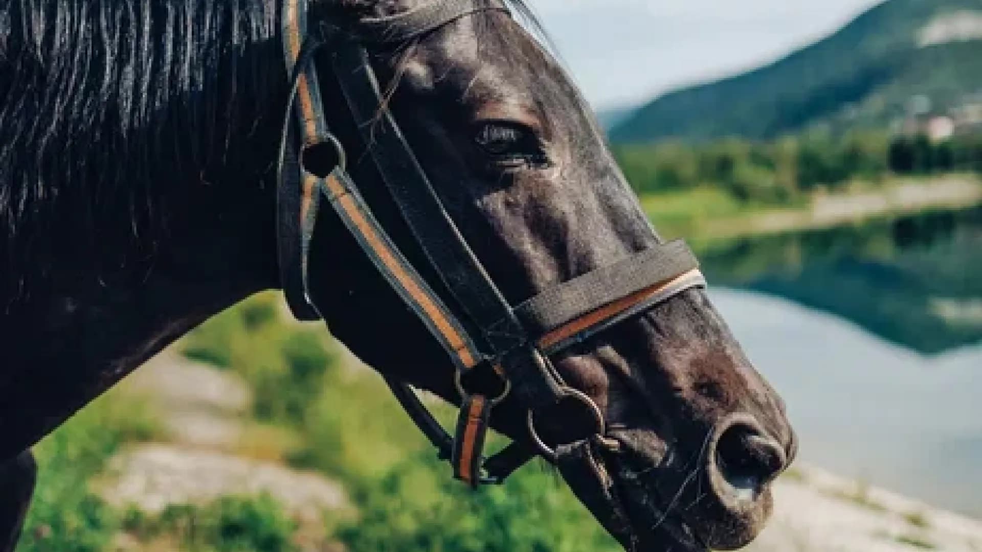 Изображение услуги3