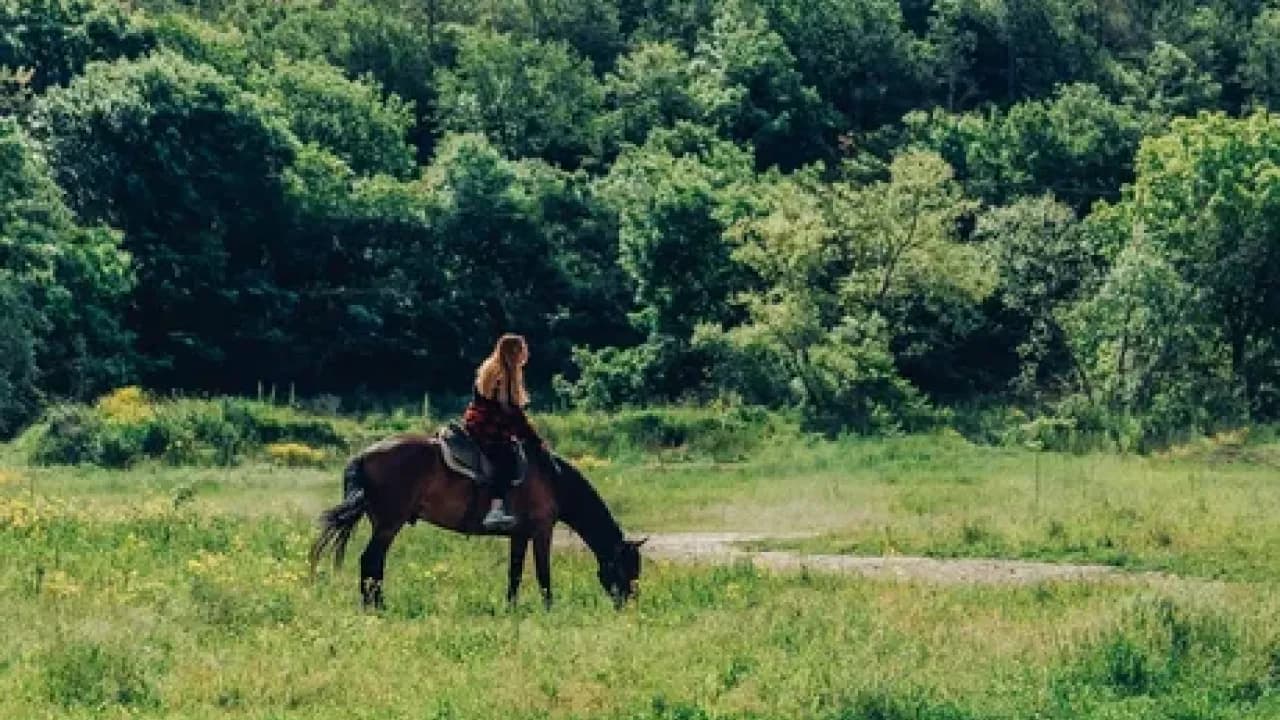 Изображение услуги4