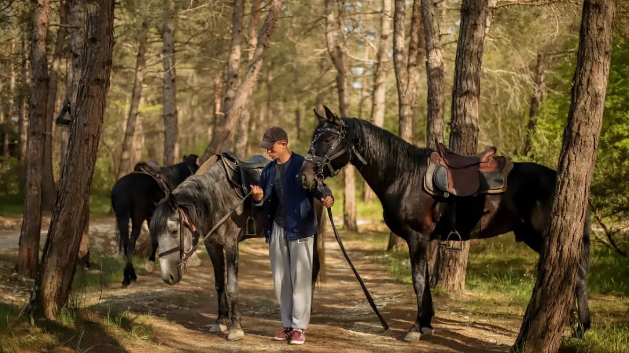 Изображение услуги5