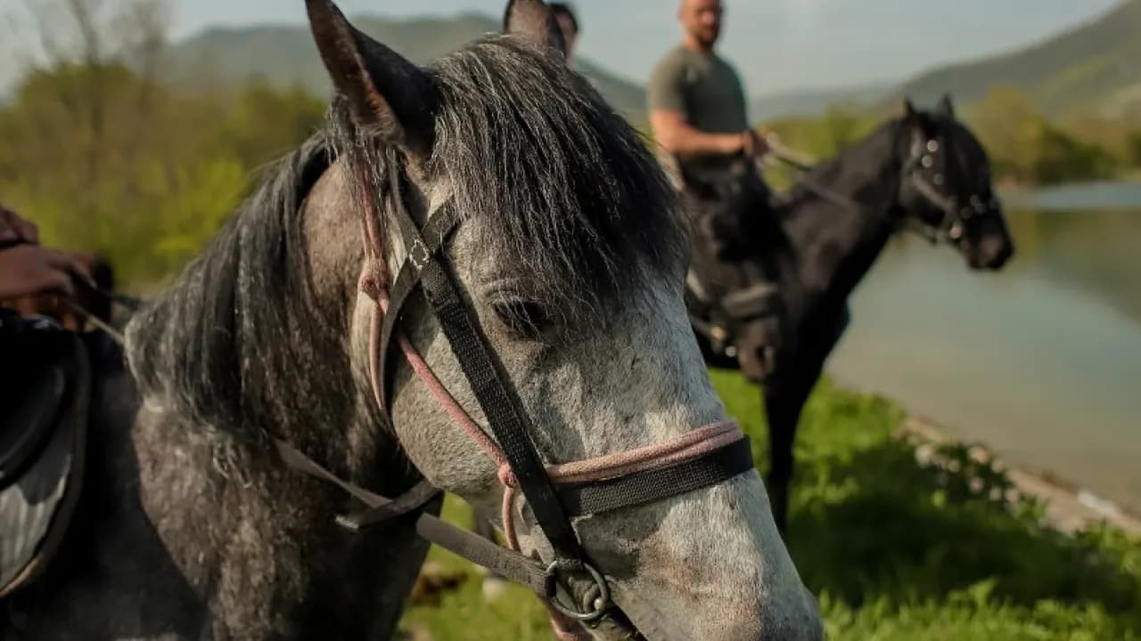 Изображение услуги7