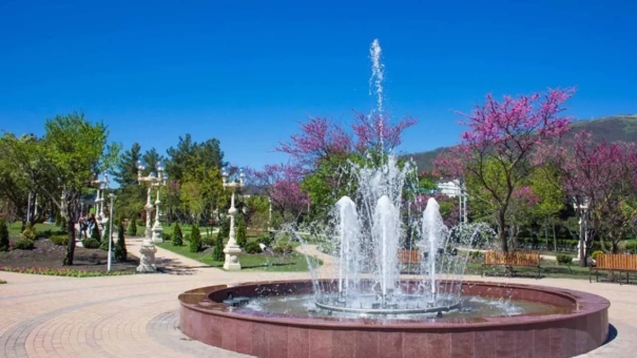 Изображение услуги1