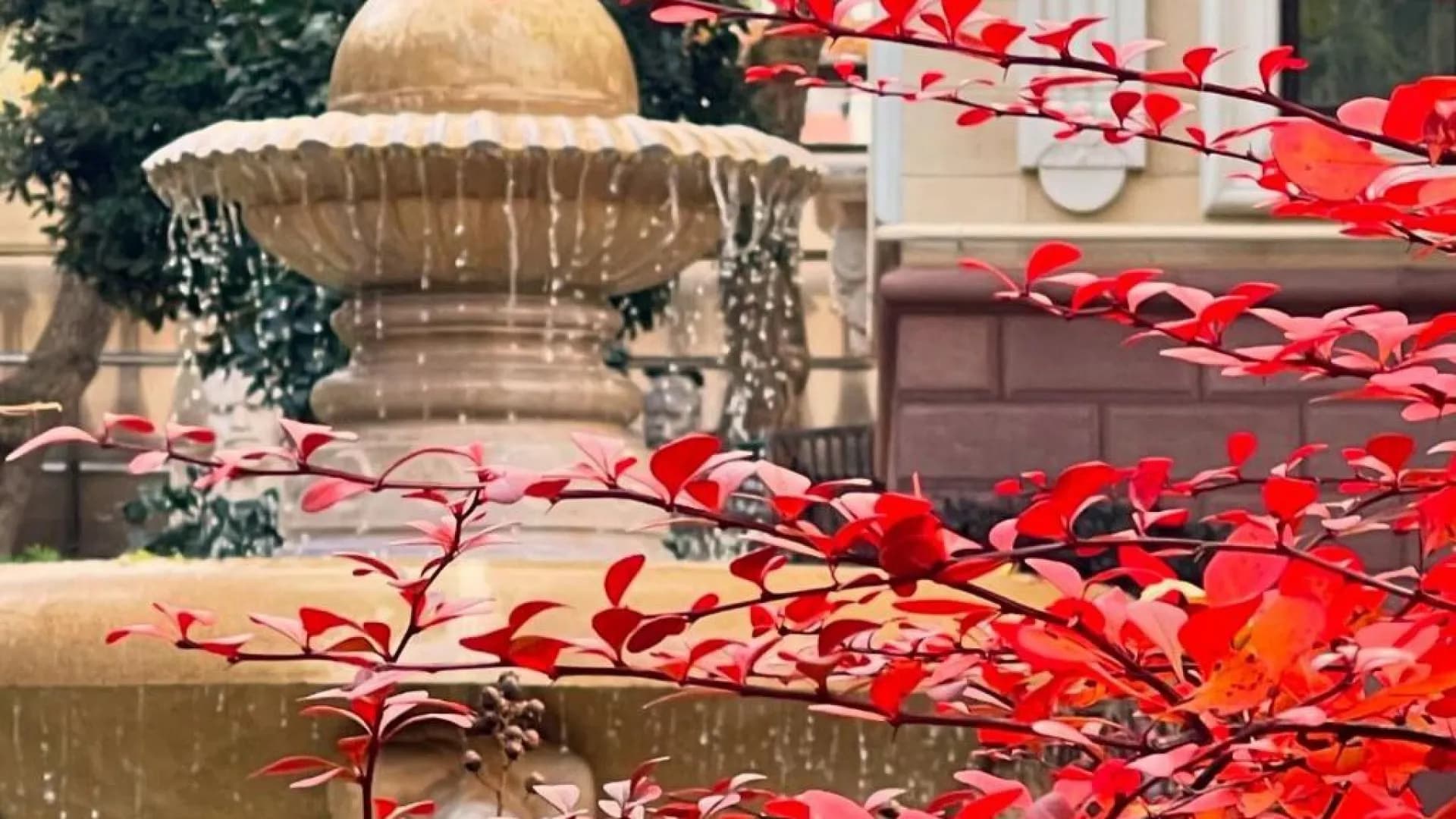 Изображение услуги1