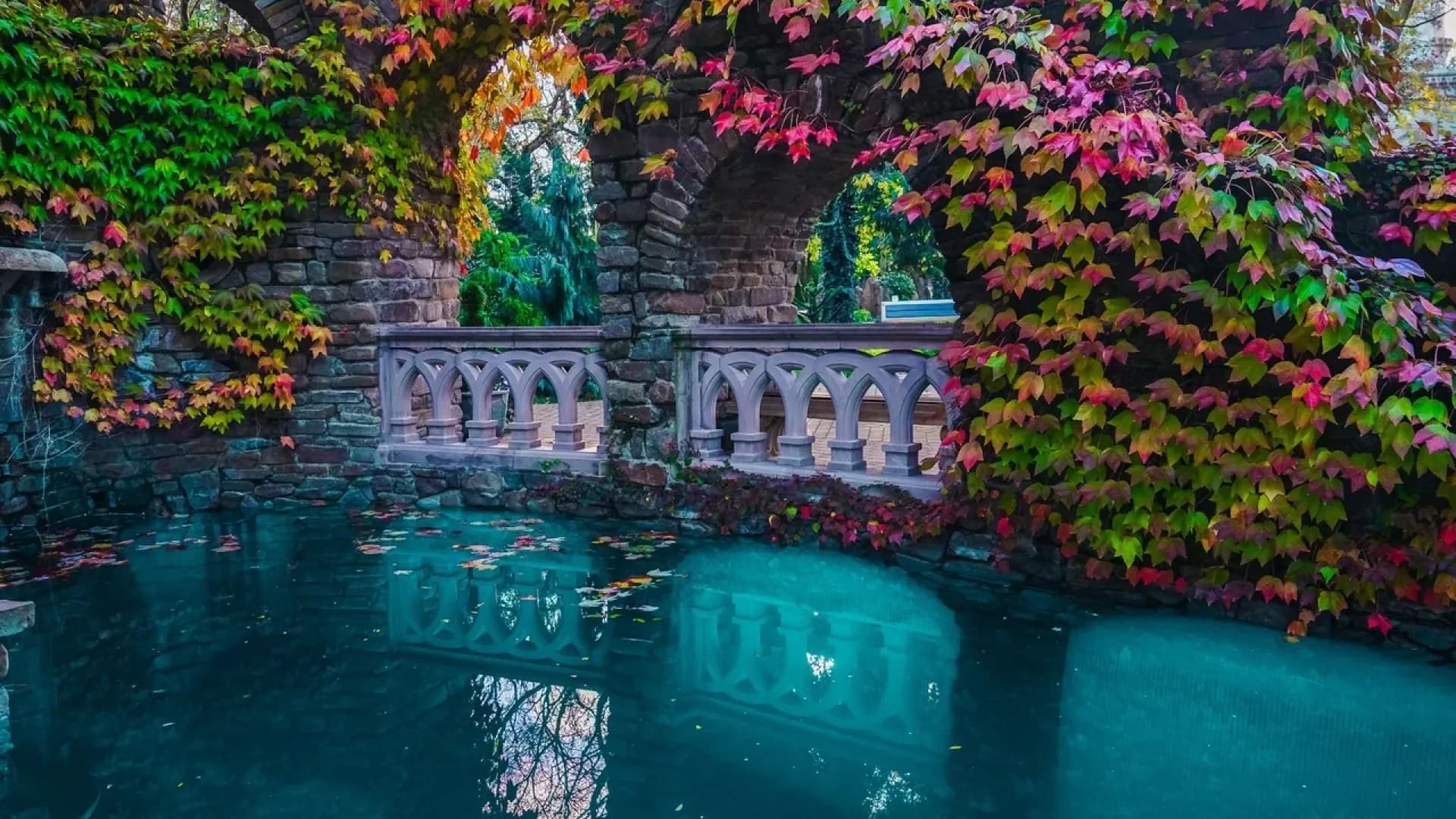 Изображение услуги3