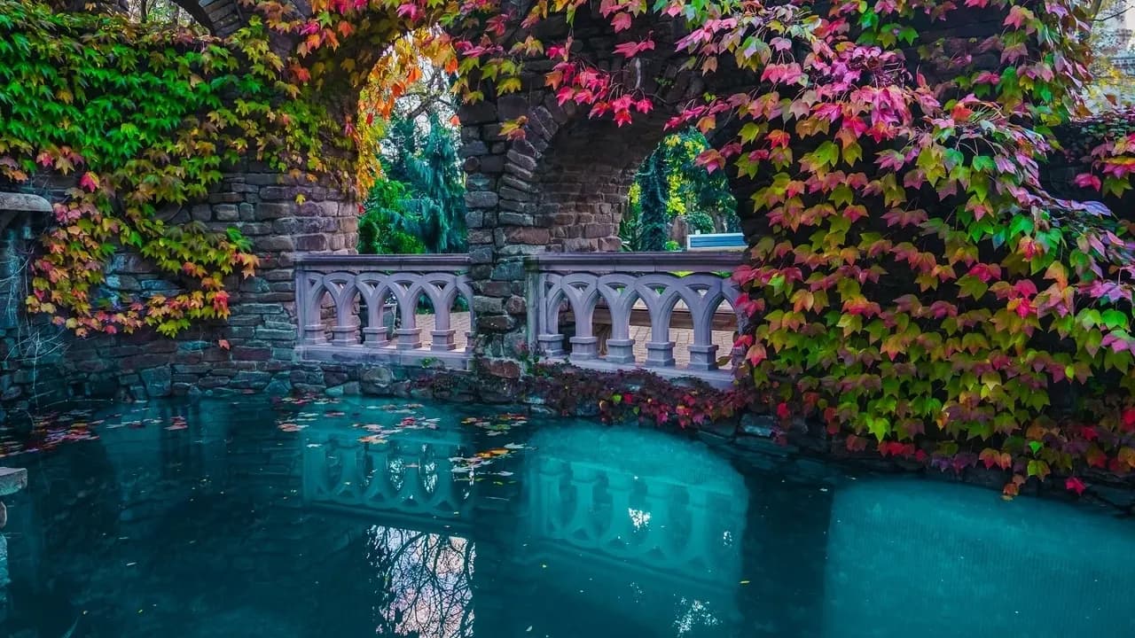 Изображение услуги3