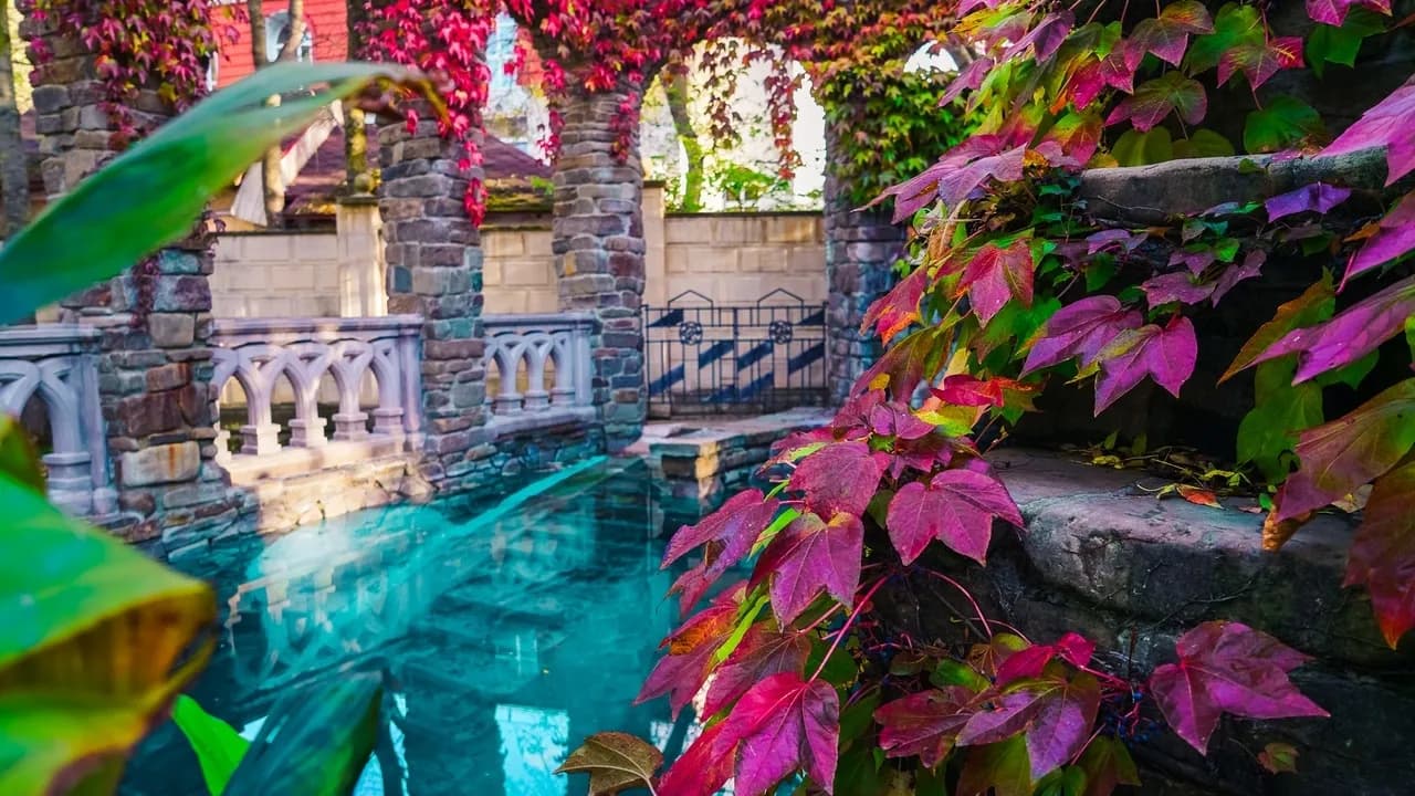 Изображение услуги4