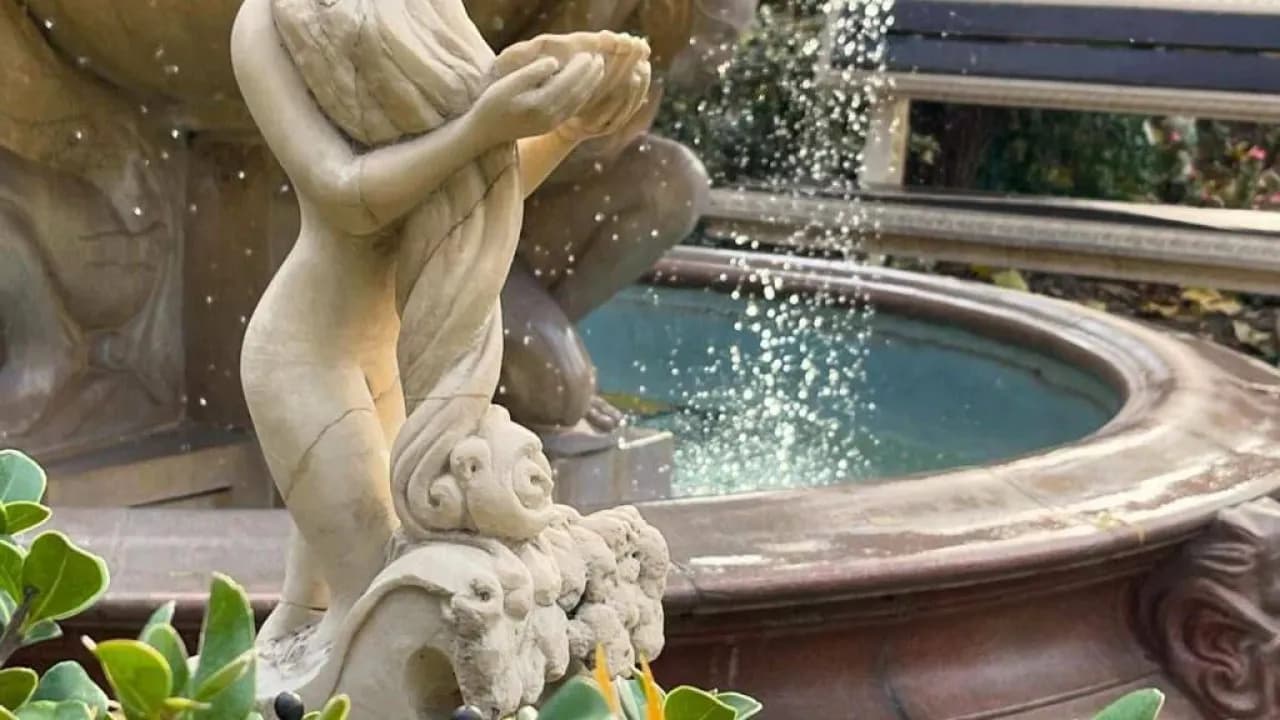 Изображение услуги7