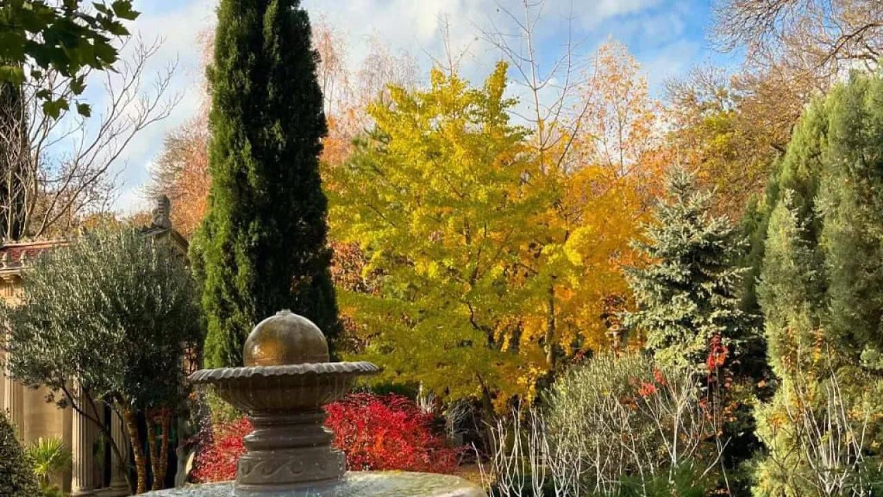 Изображение услуги9