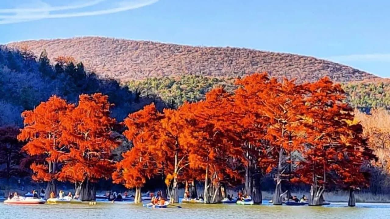 Изображение услуги2