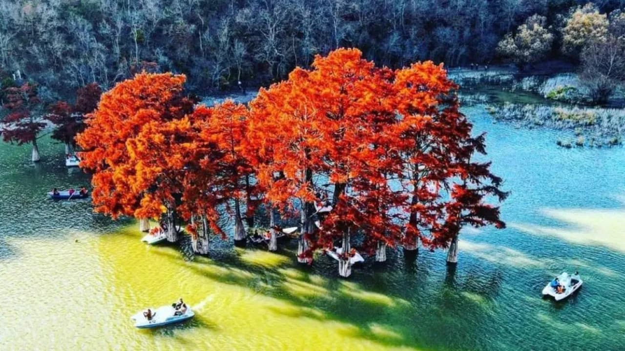 Изображение услуги3