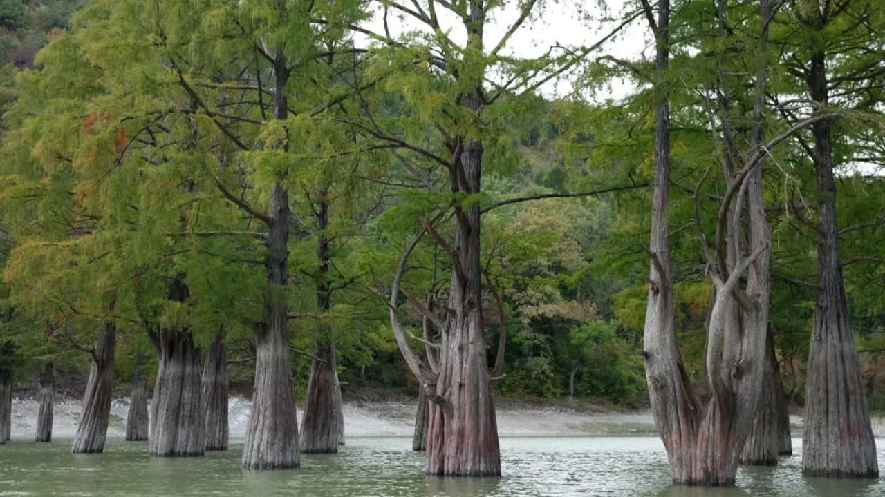 Изображение услуги5