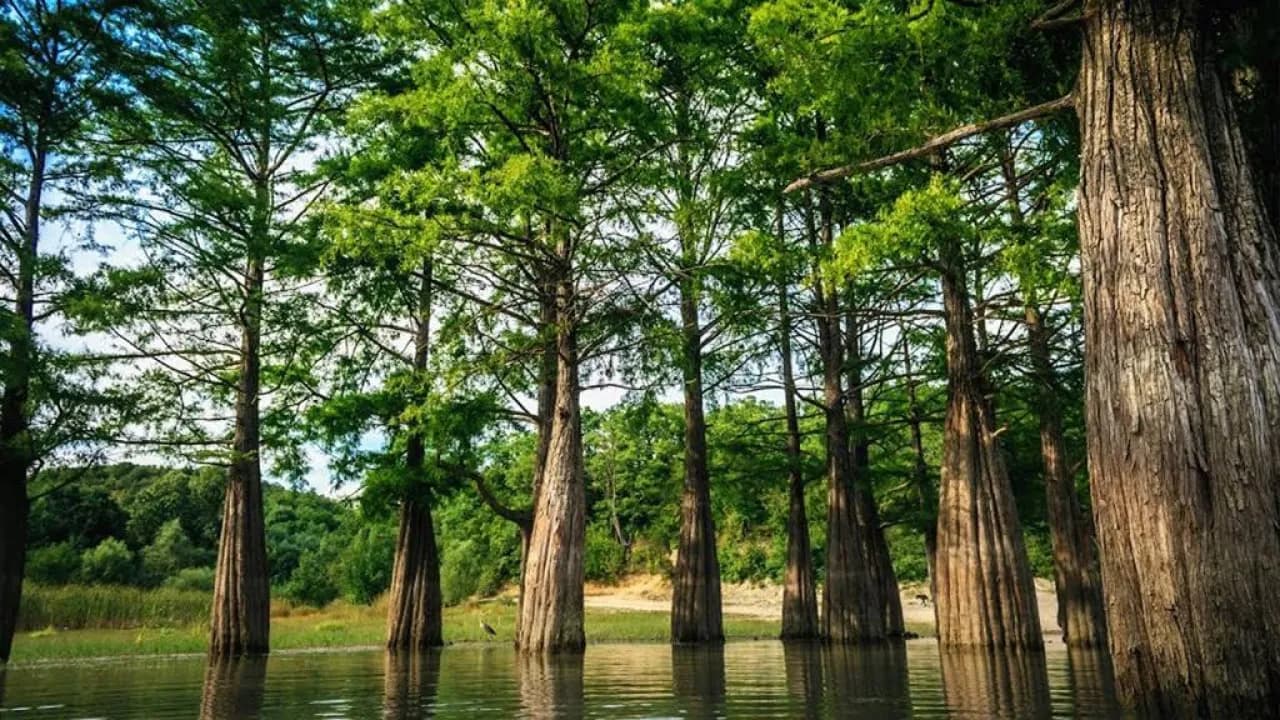 Изображение услуги6