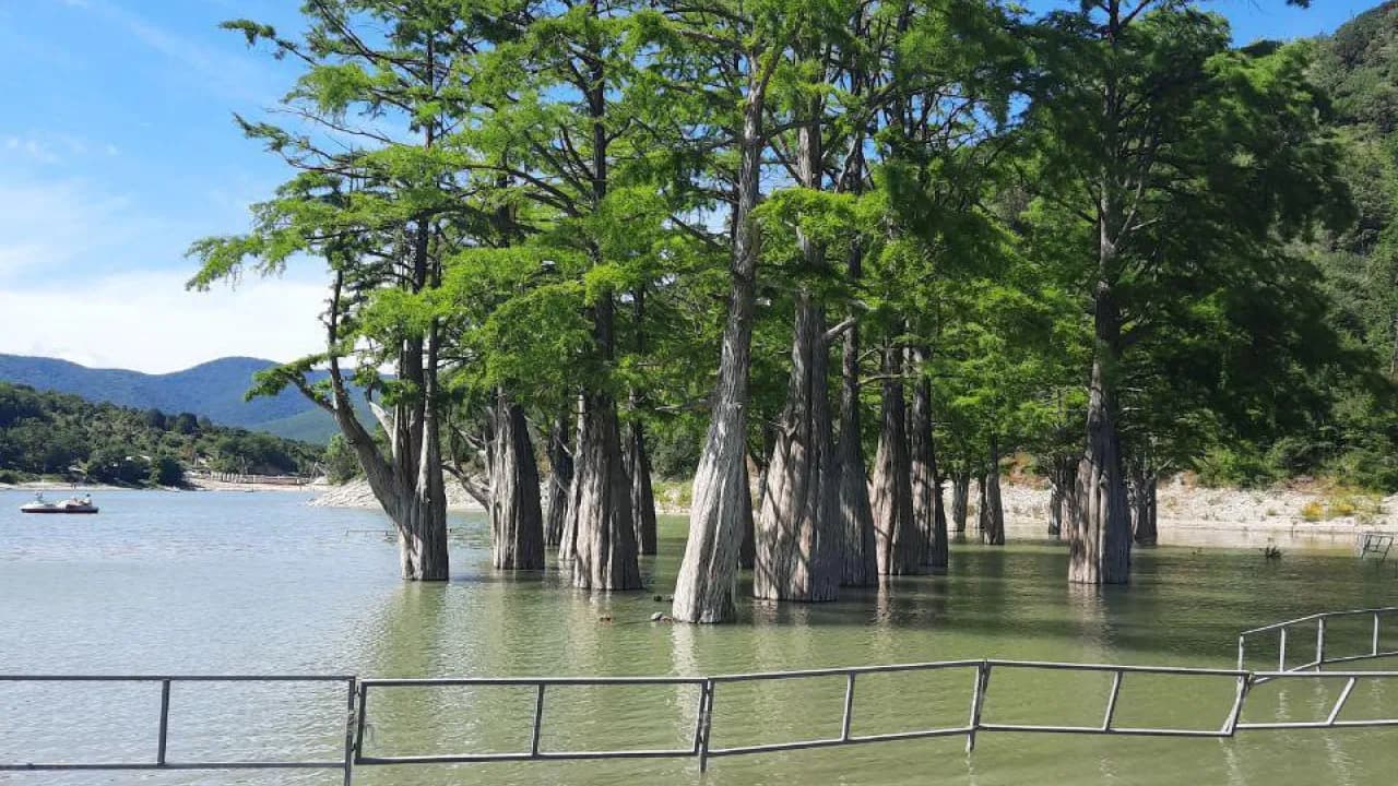 Изображение услуги8