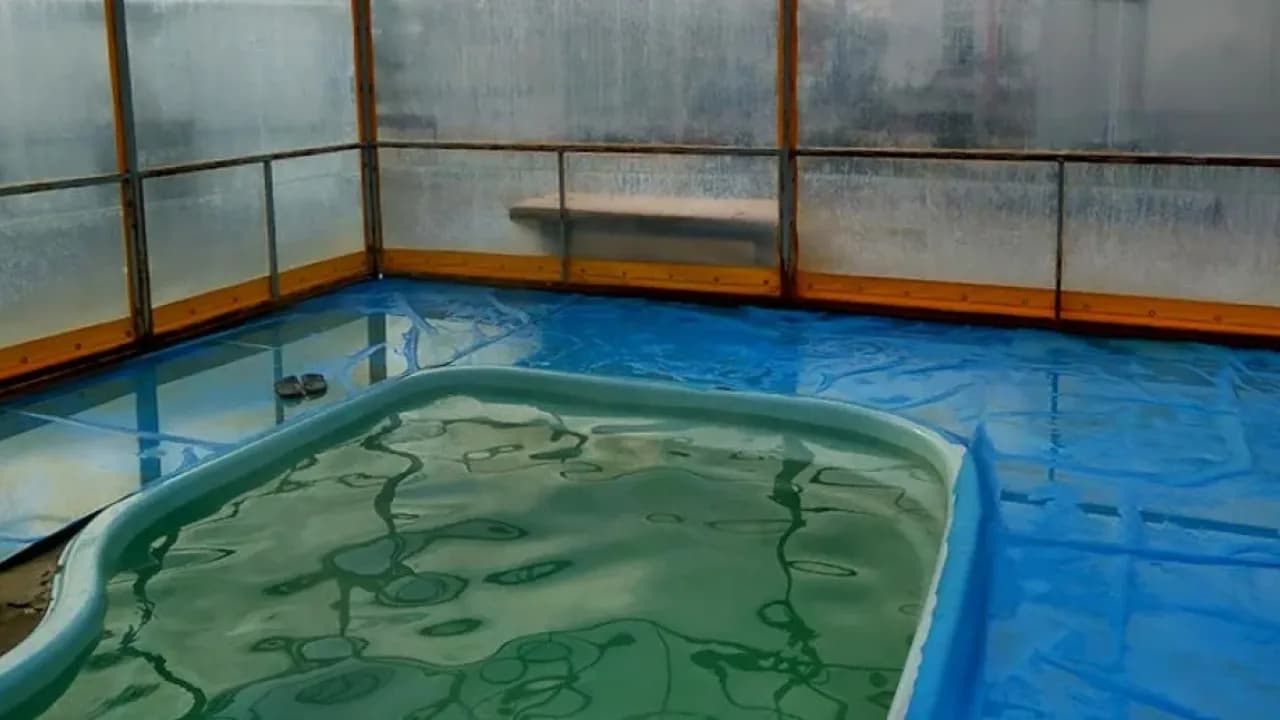 Изображение услуги1