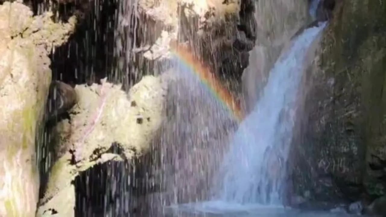 Изображение услуги3