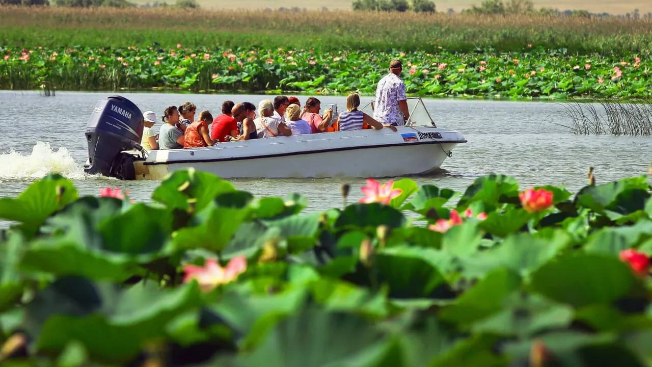 Изображение услуги1