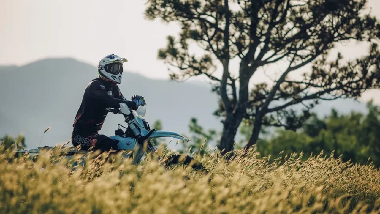 Изображение услуги10