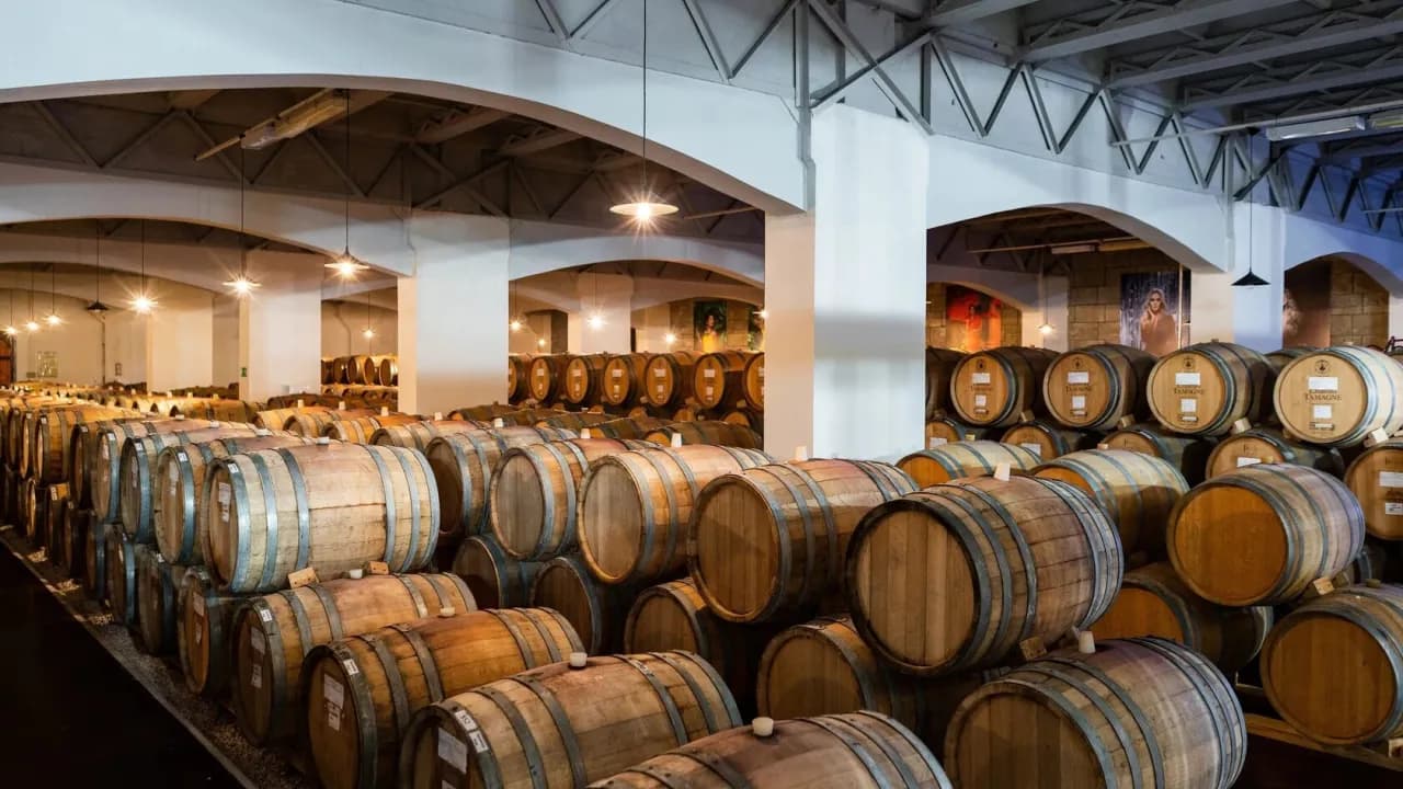 Изображение услуги1