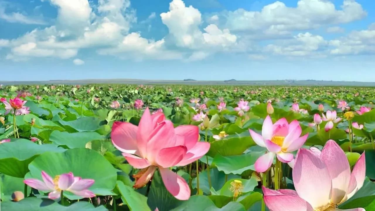 Изображение услуги3