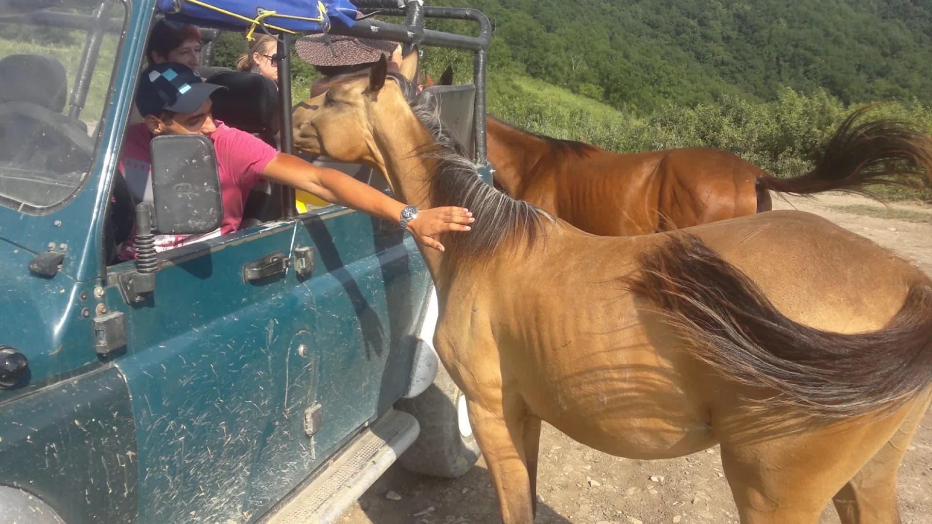 Изображение услуги1