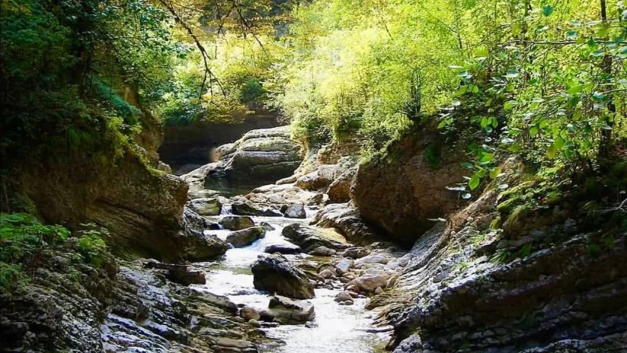 Изображение услуги3