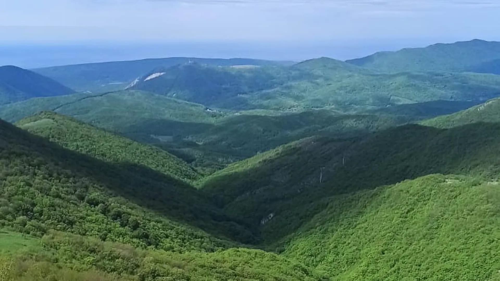 Изображение услуги5