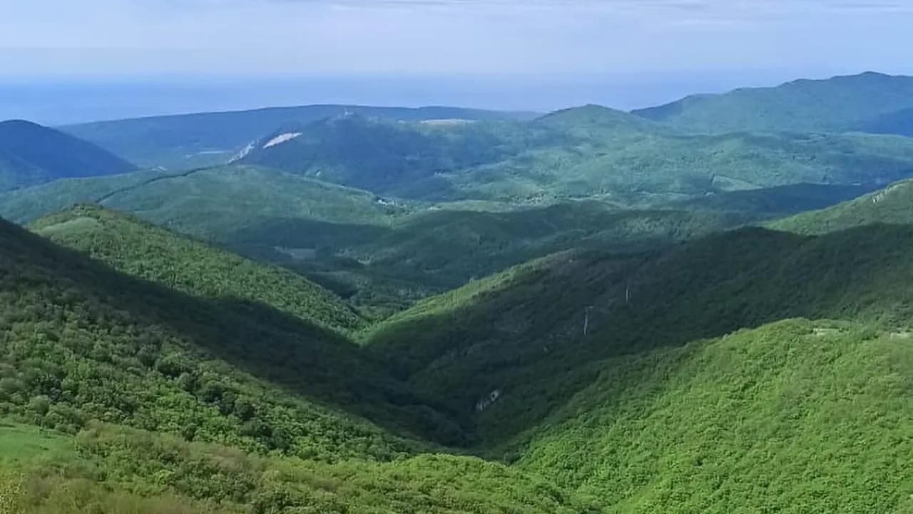 Изображение услуги5