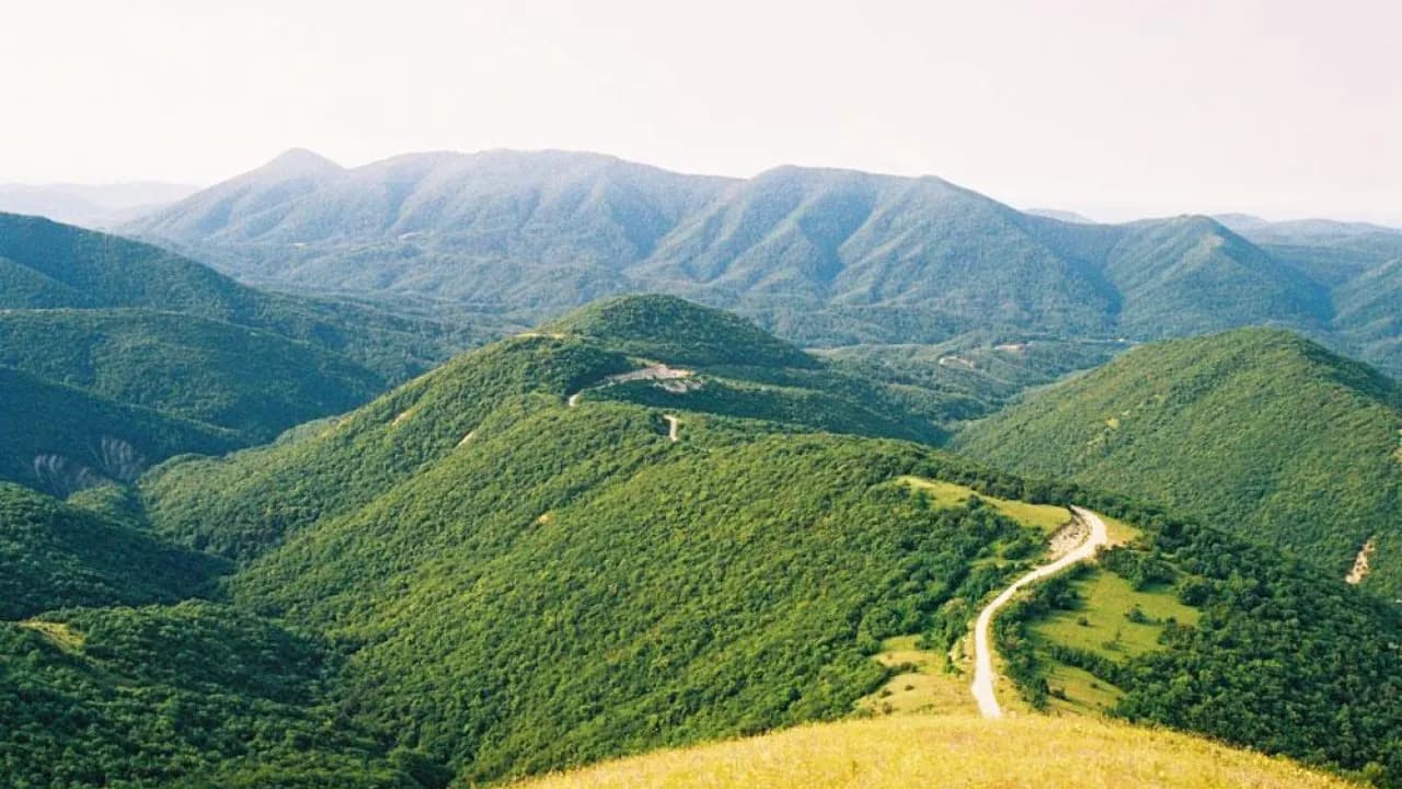 Изображение услуги6