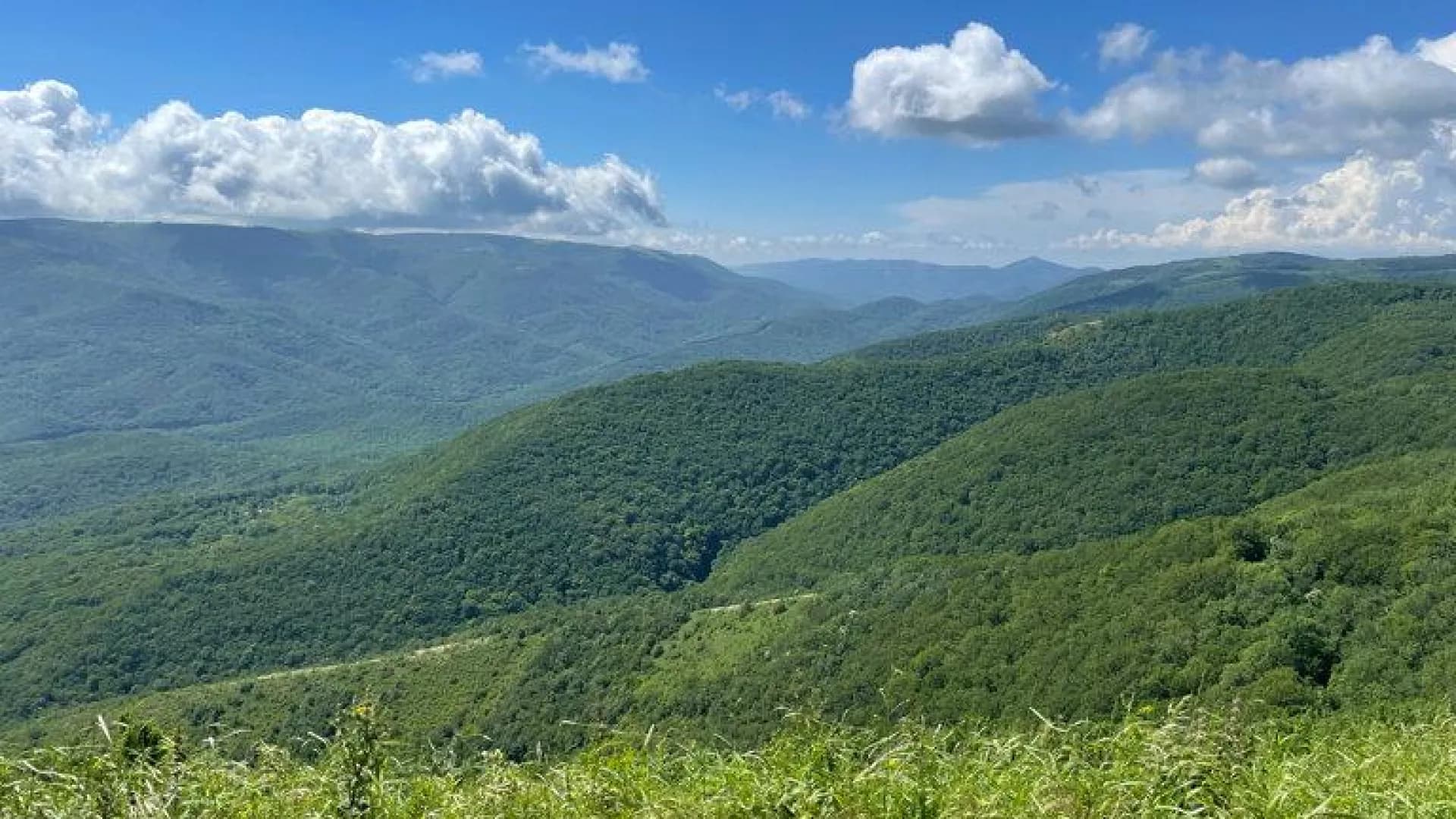 Изображение услуги7