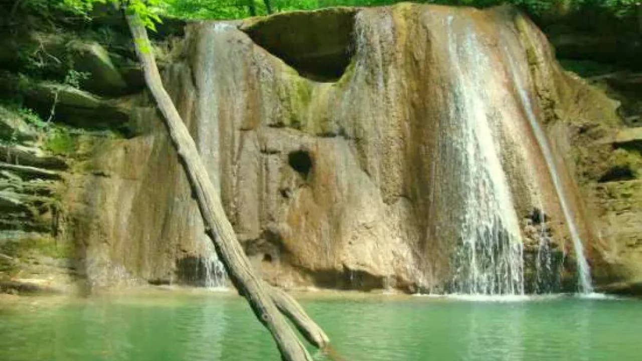 Изображение услуги10