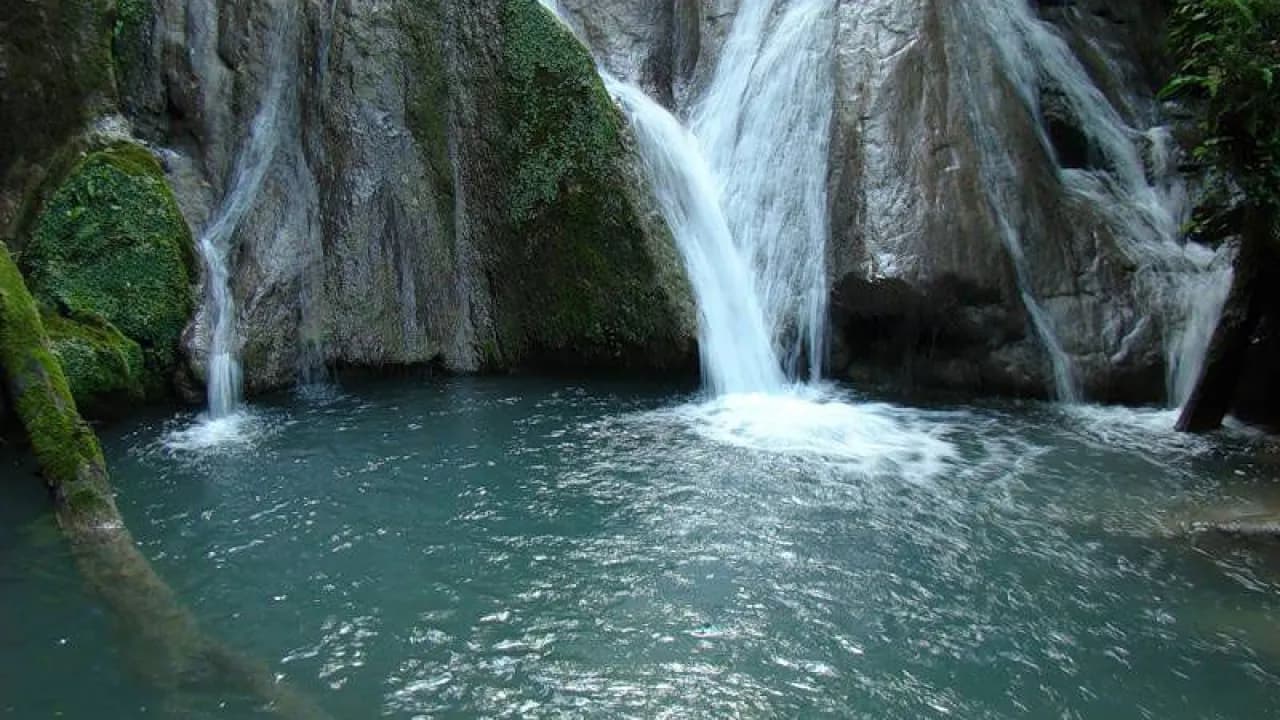 Изображение услуги11