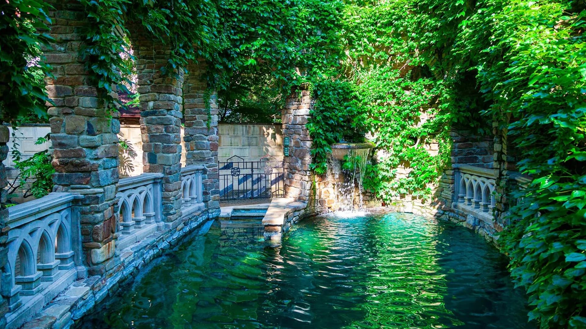 Изображение услуги1