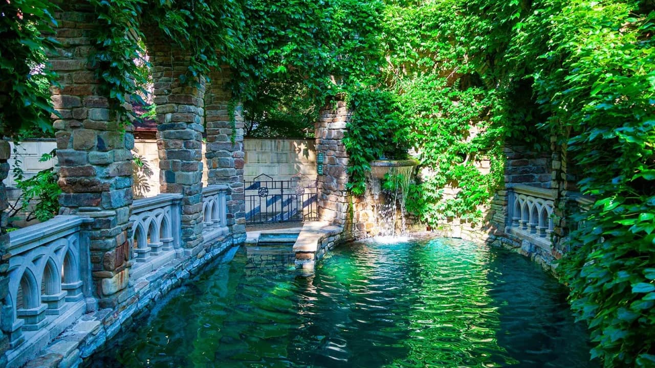 Изображение услуги1