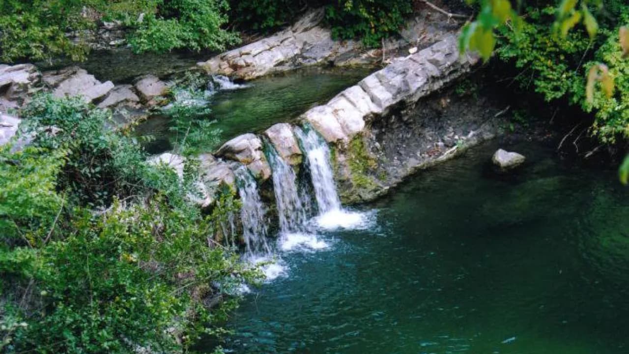 Изображение услуги1