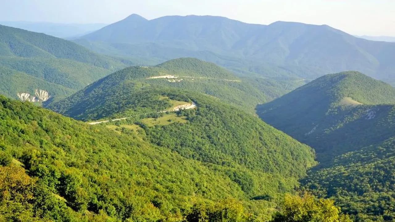 Изображение услуги3