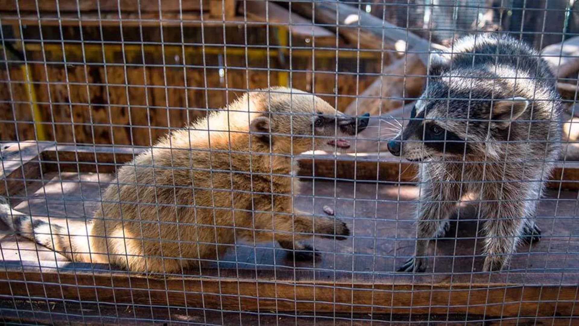 Изображение услуги5