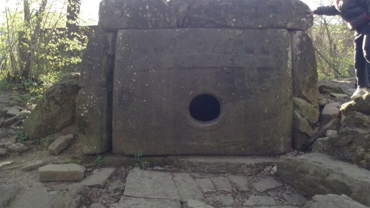 Изображение услуги3