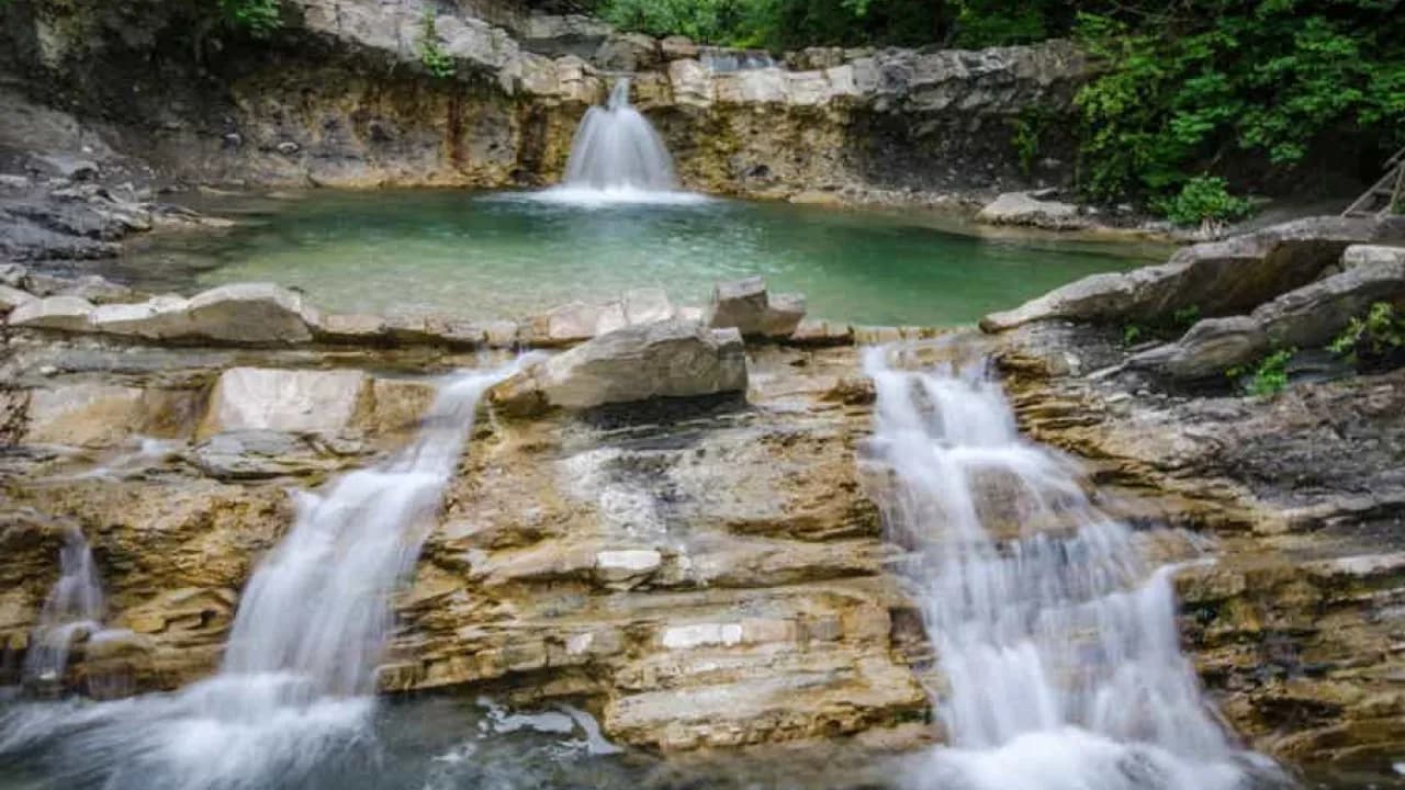 Изображение услуги5